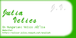 julia velics business card